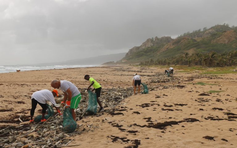 Ambientalistas coletando lixo da praia